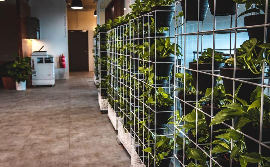 Meeting Room - Summit/ Dynamic (3 Seats)