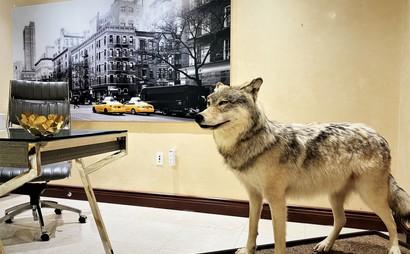 Don't Just Experience Miami, Live It. Don't Just Experience Miami, Live It.