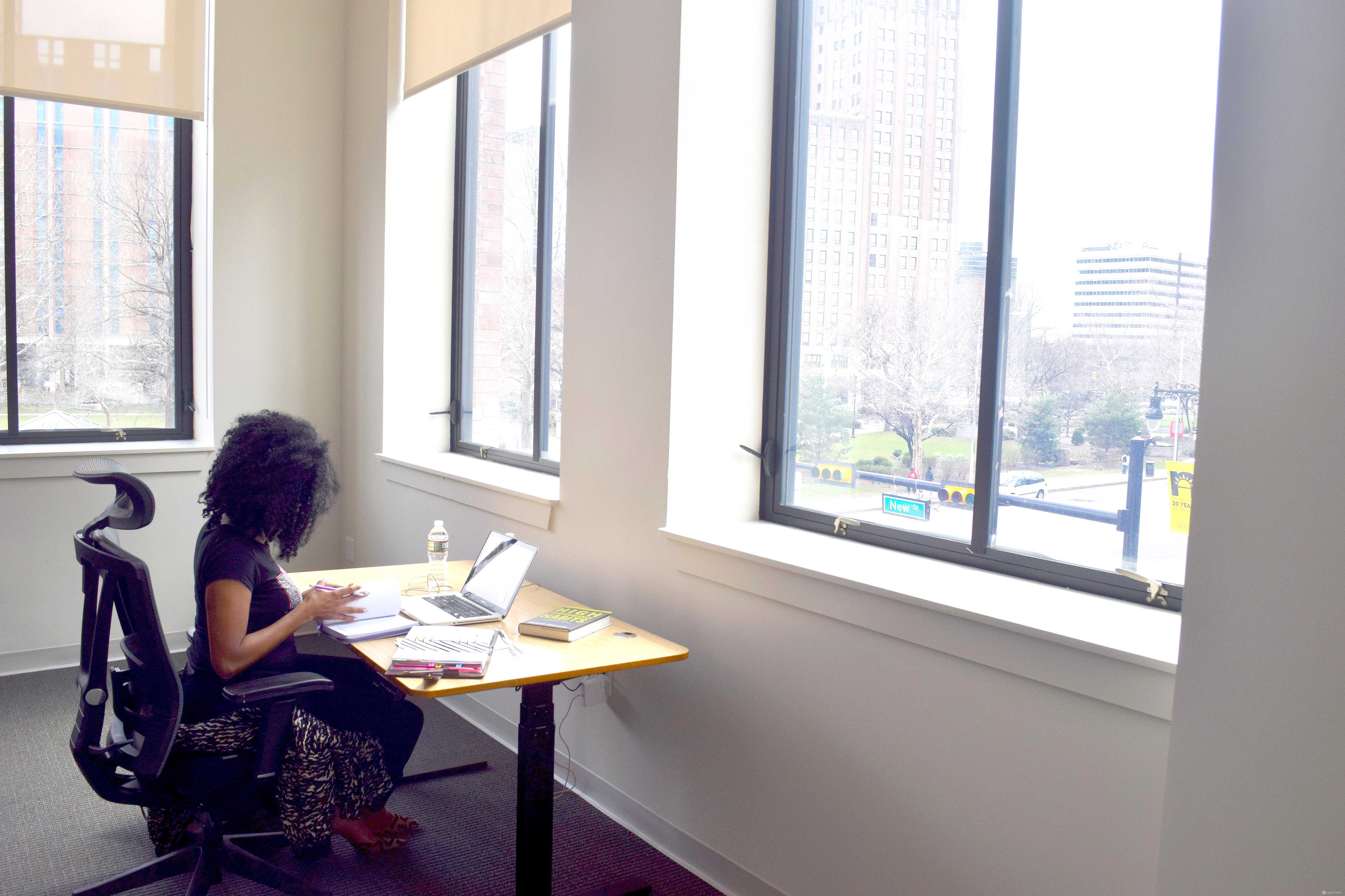 PARK-VIEW PRIVATE OFFICE