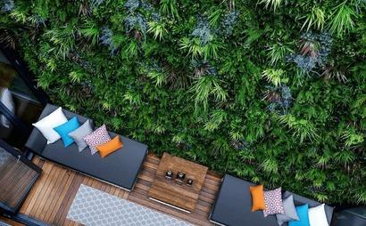 Designer Plants Designer Plants