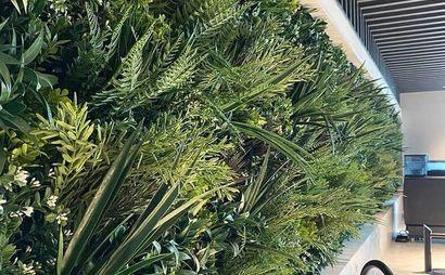 Designer Plants Designer Plants