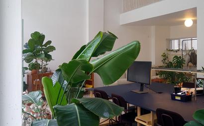 that studio that studio