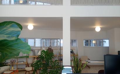 that studio that studio