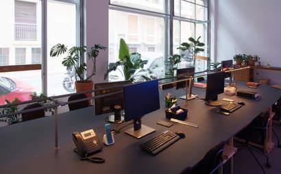 that studio that studio