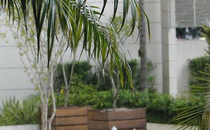 Espaço Conceito - Garden and Smokers Area - Coworking Espaço Conceito - Garden and Smokers Area - Coworking