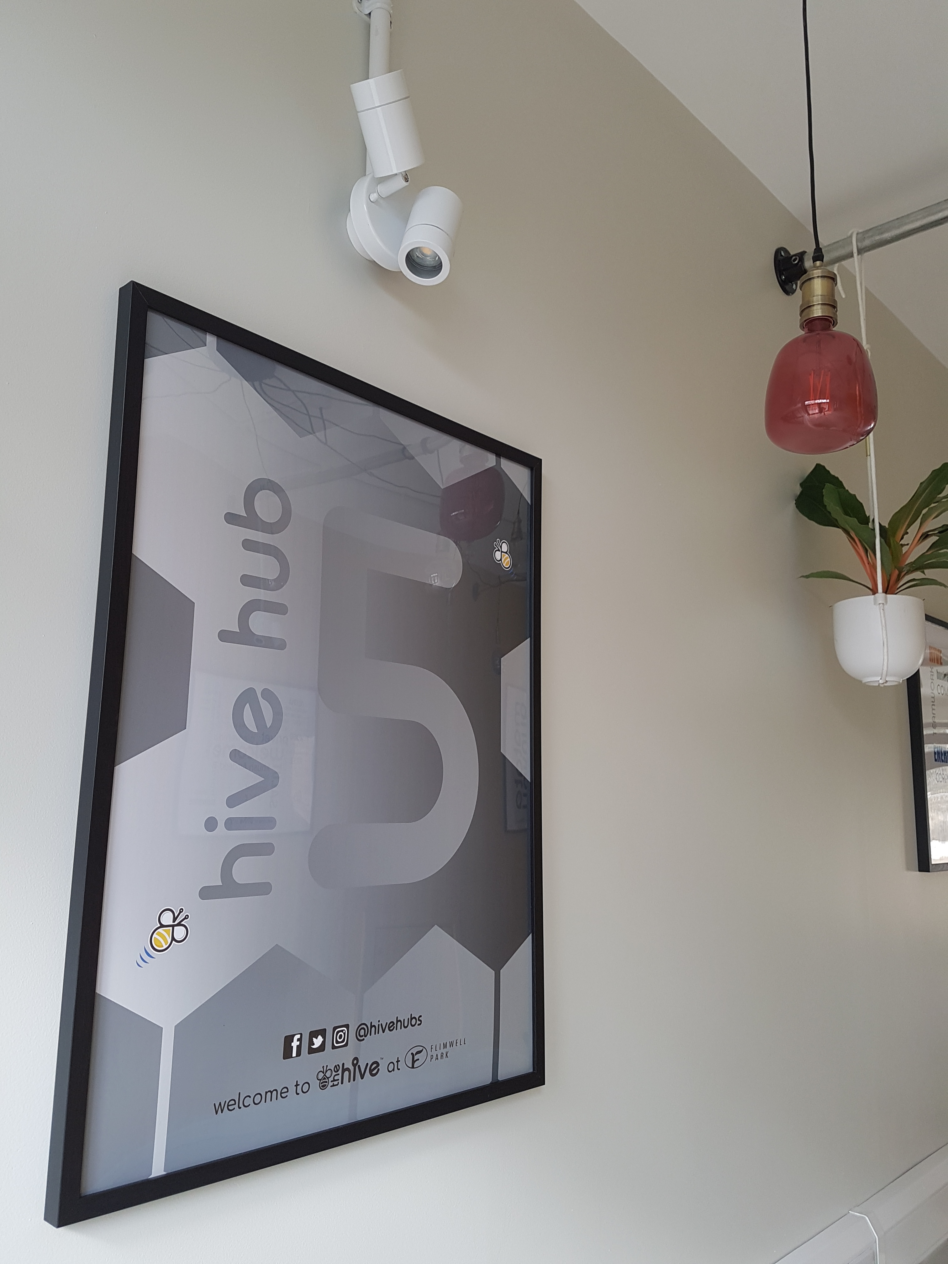 The Hive at Flimwell Park