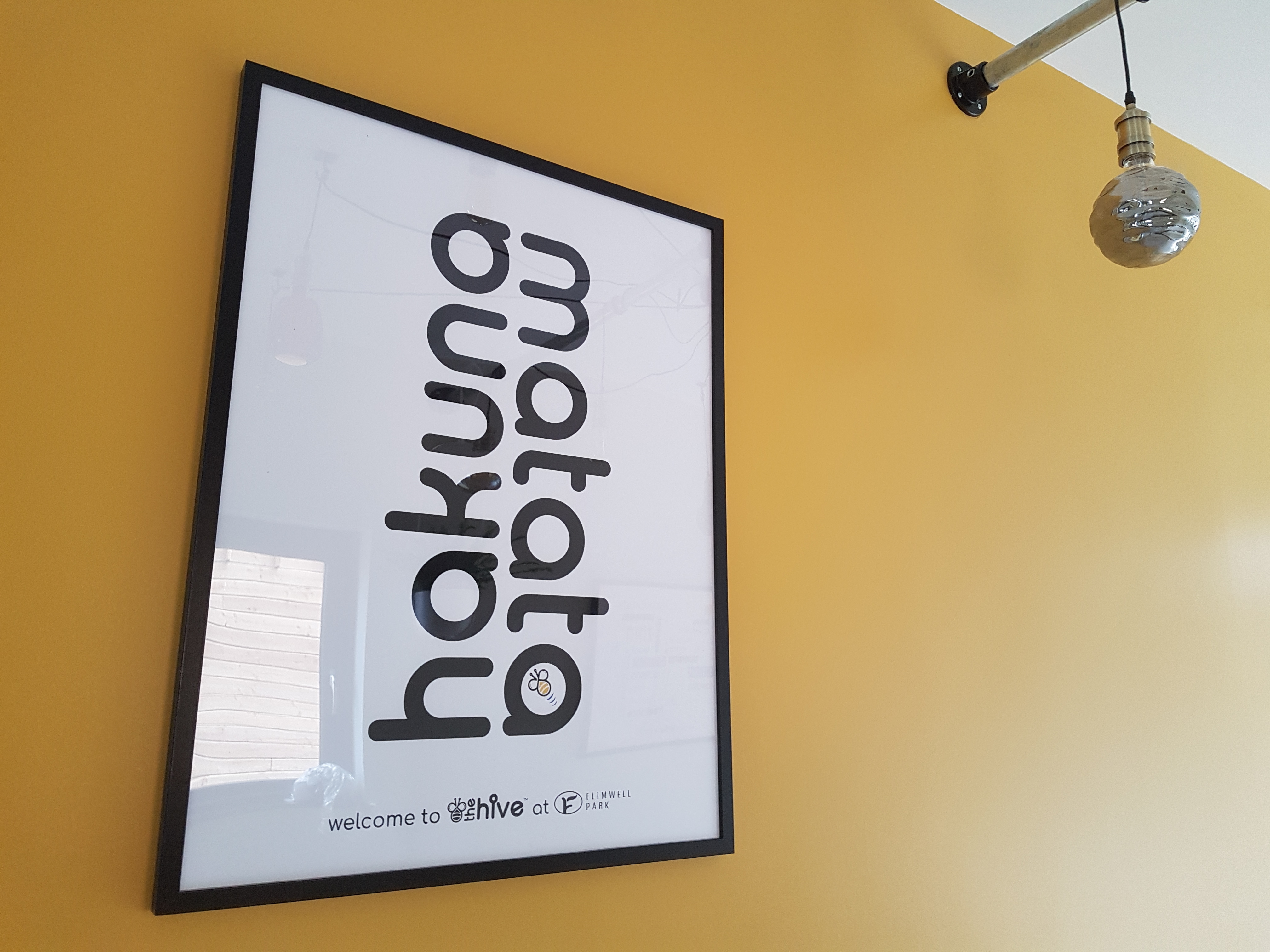 The Hive at Flimwell Park