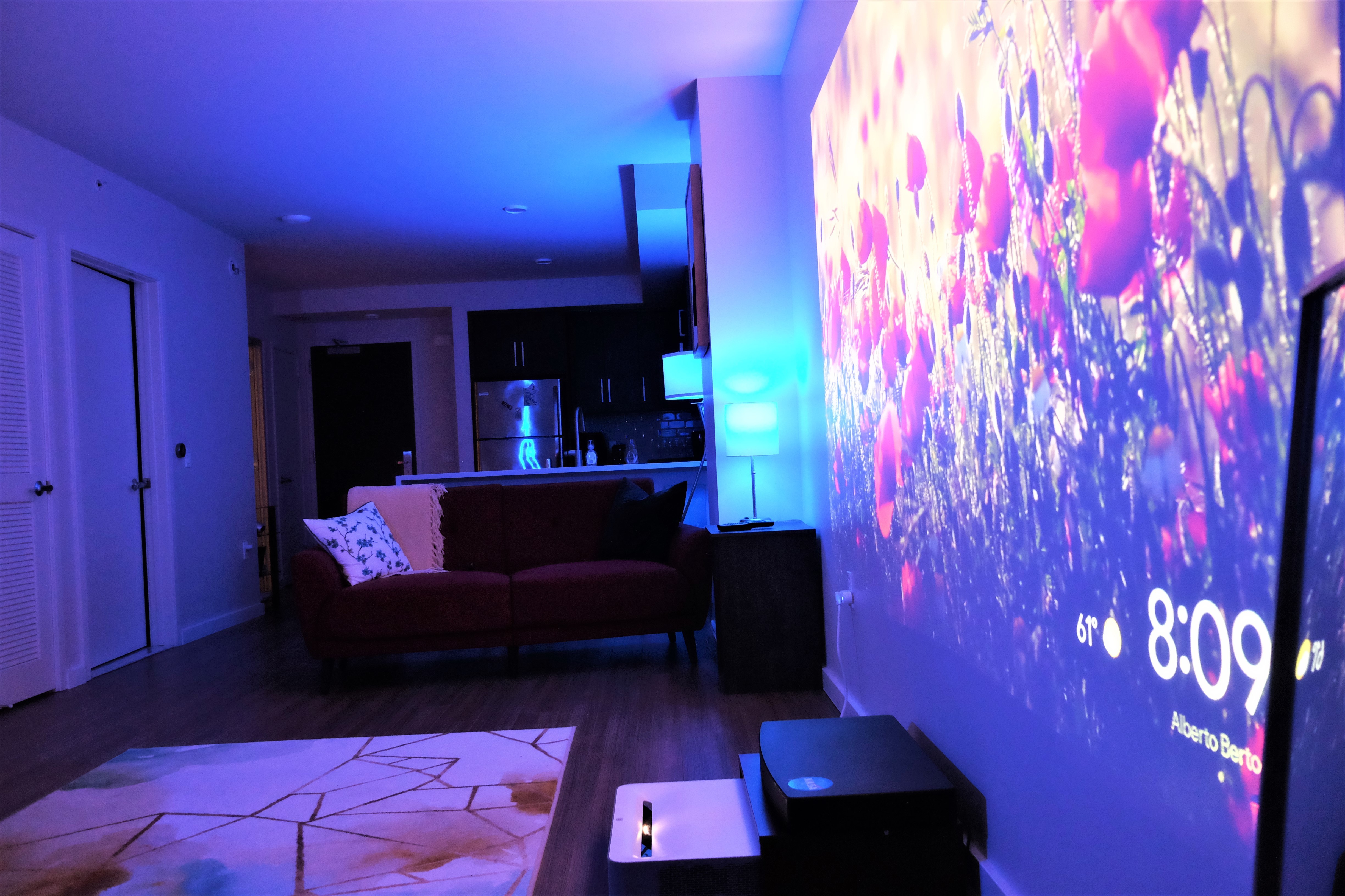 Unique Luxury Apartment with multiple projectors