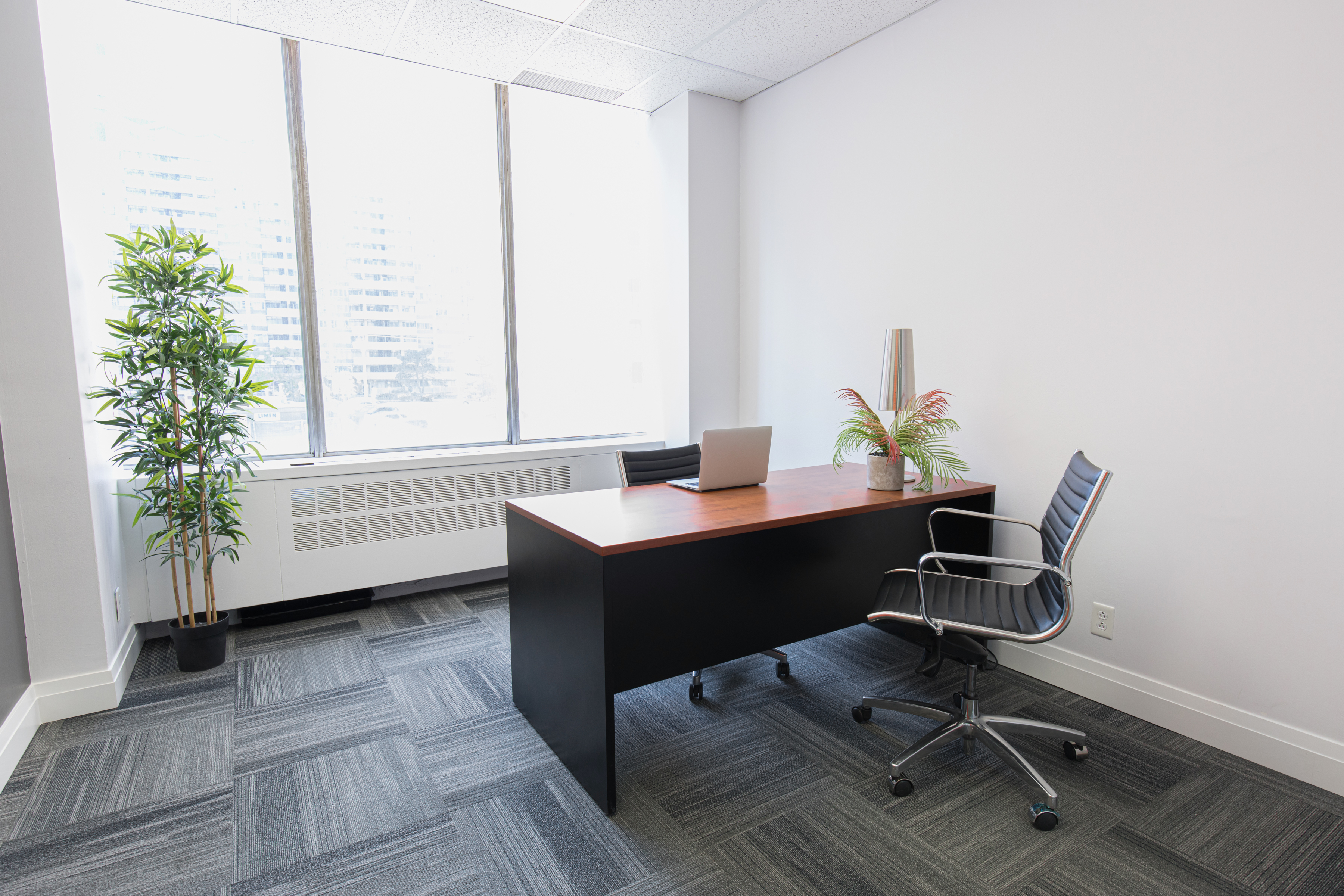 The Village Hive Eglinton (Yonge + Eglinton)