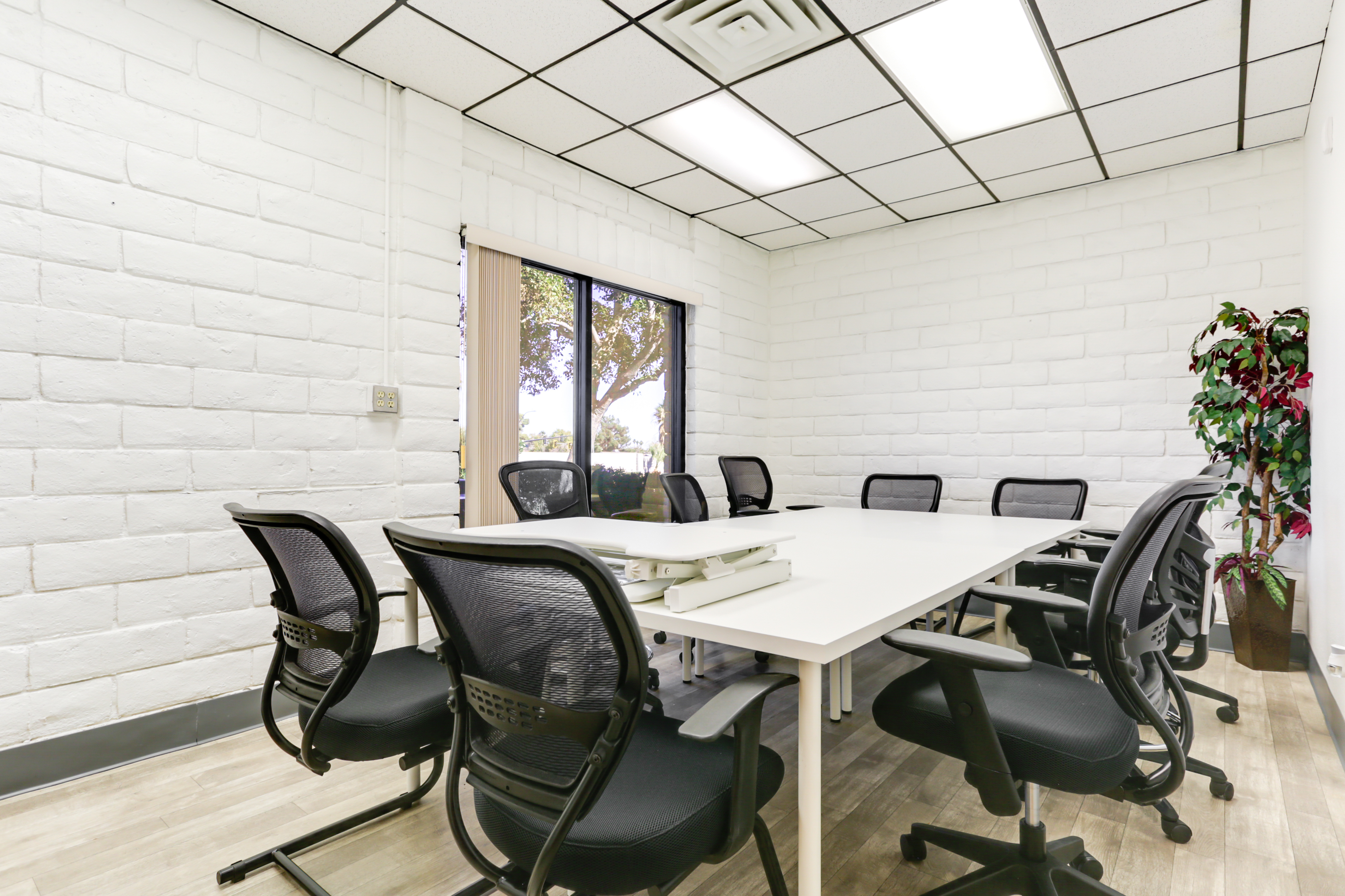 Feathernest Colearning Group