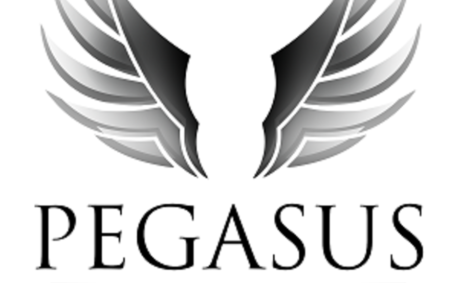 PegasusReitSport.de