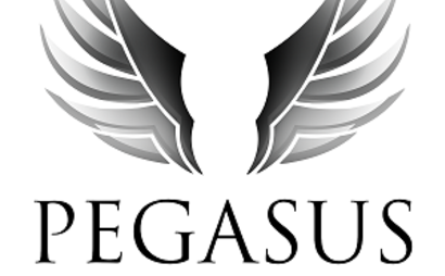 PegasusReitSport.de PegasusReitSport.de