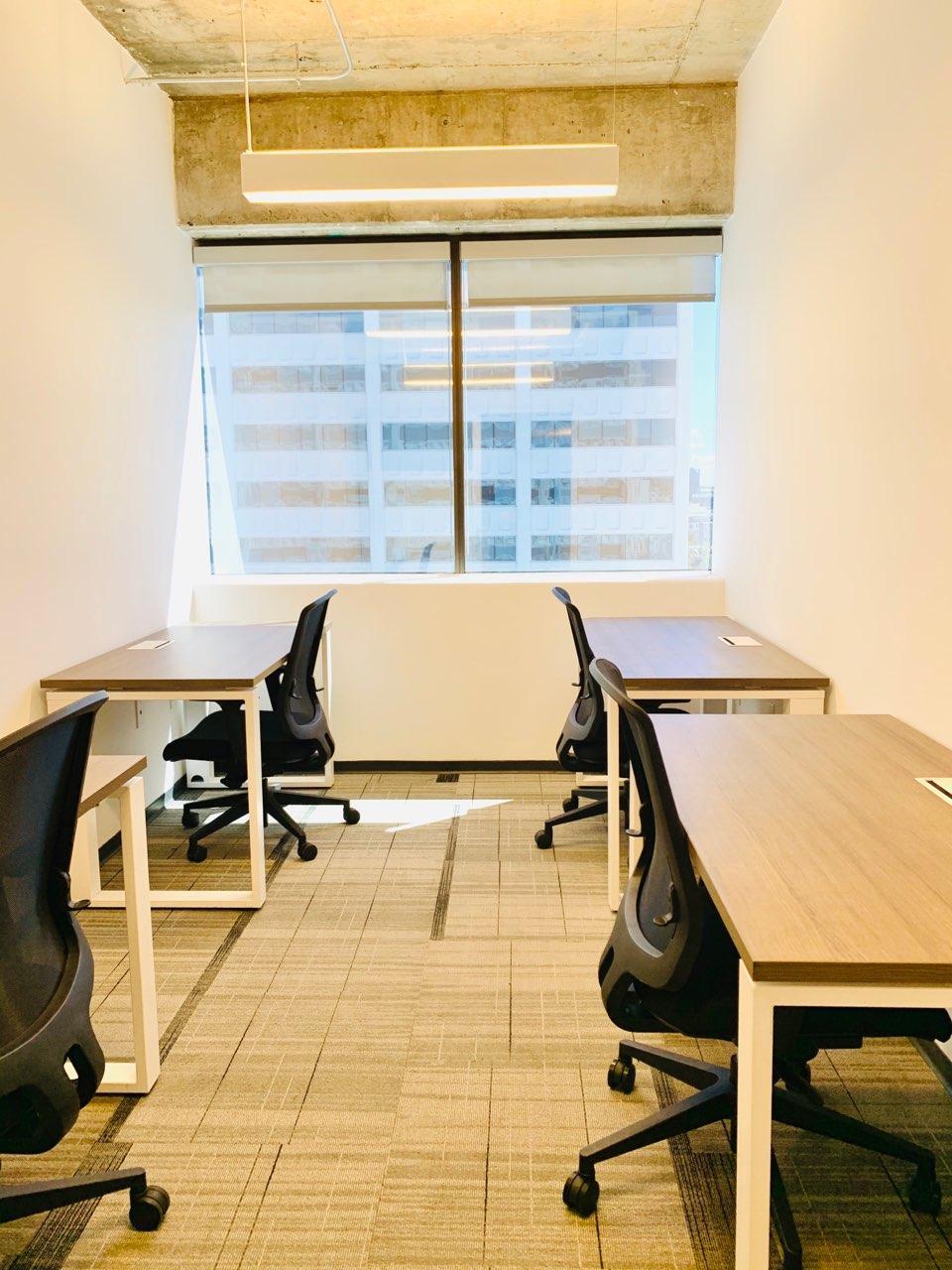 Private Office for 3-4 people