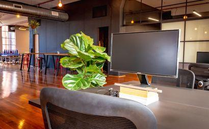 Dedicated Desk Space Dedicated Desk Space