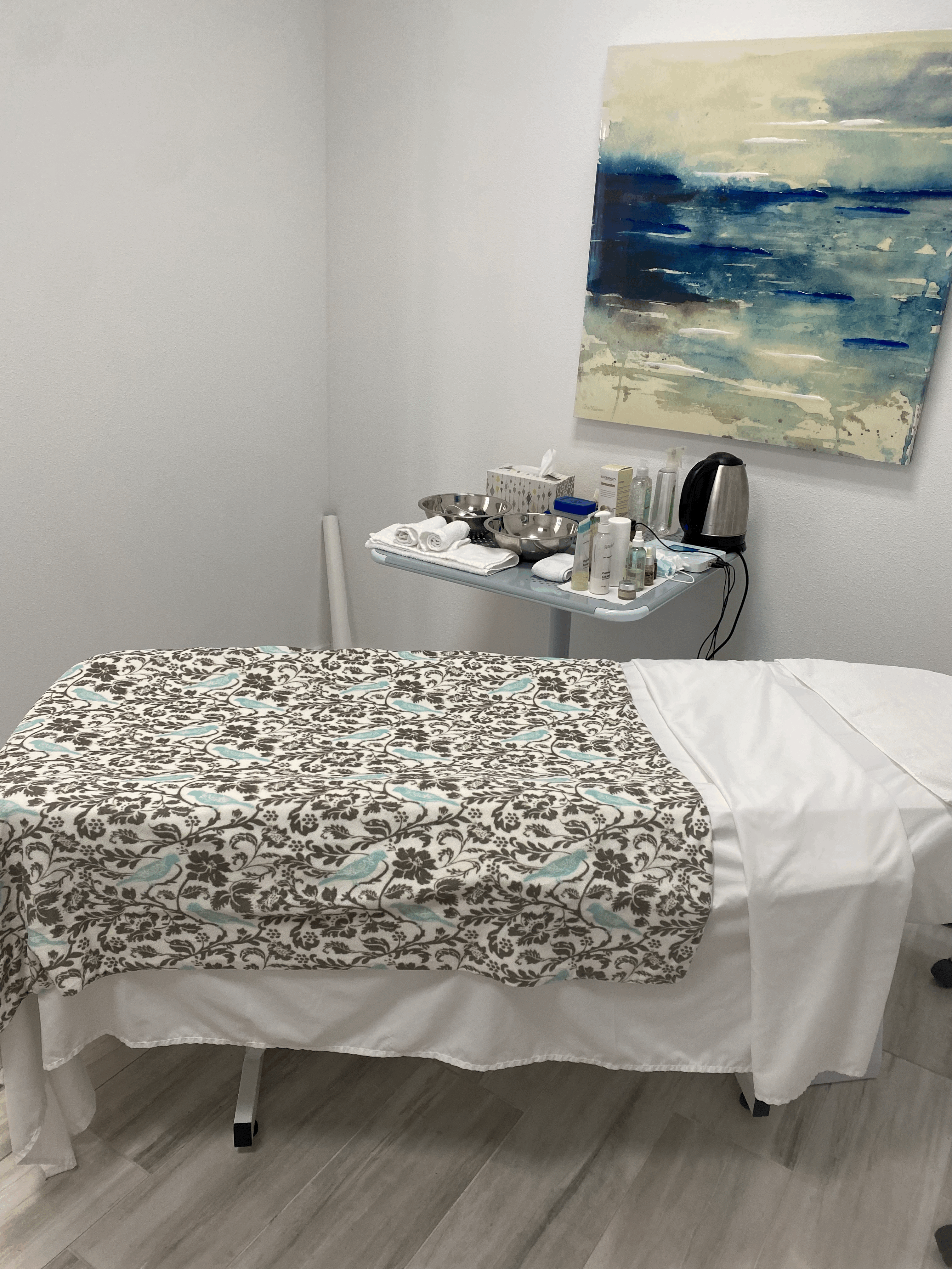 Meraki Wellness and Med Spa