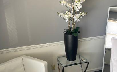 Pop Up Suite Pop Up Suite