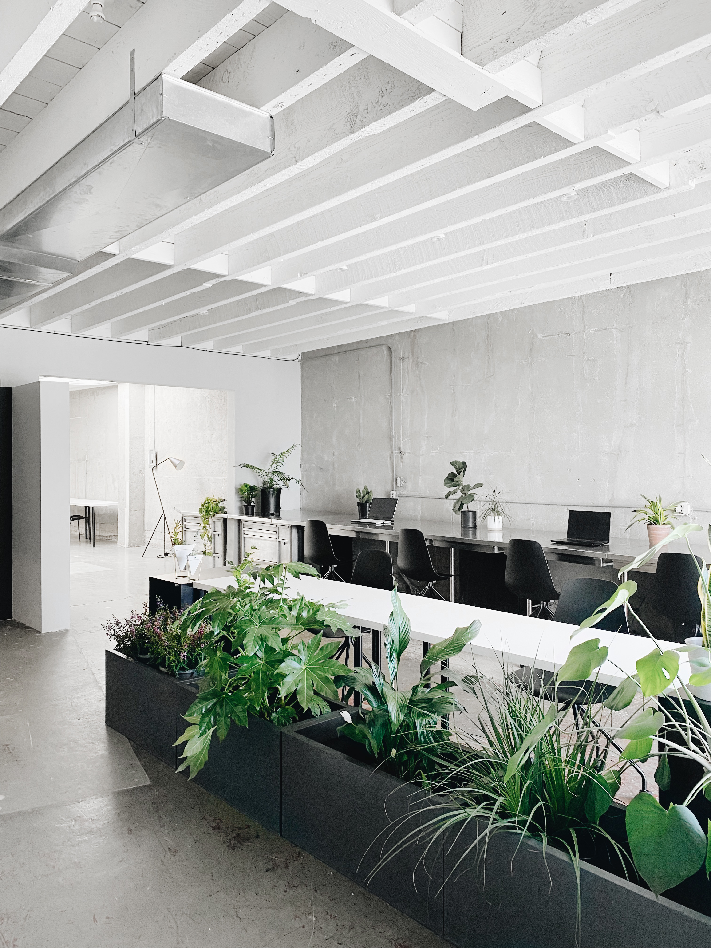 Furnished Creative Office - Individuals or Small Teams Furnished Creative Office - Individuals or Small Teams