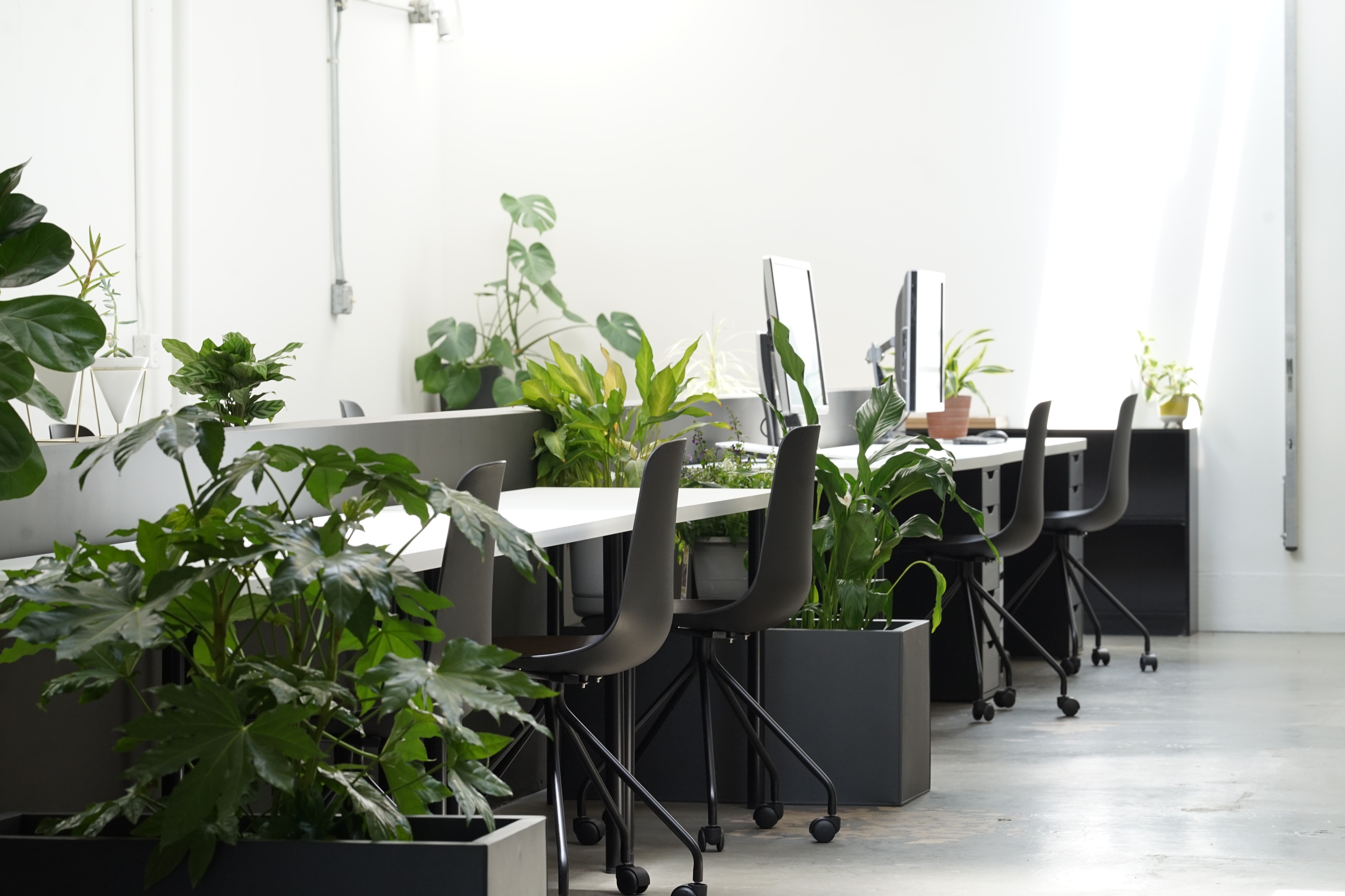 Furnished Creative Office - Individuals or Small Teams  