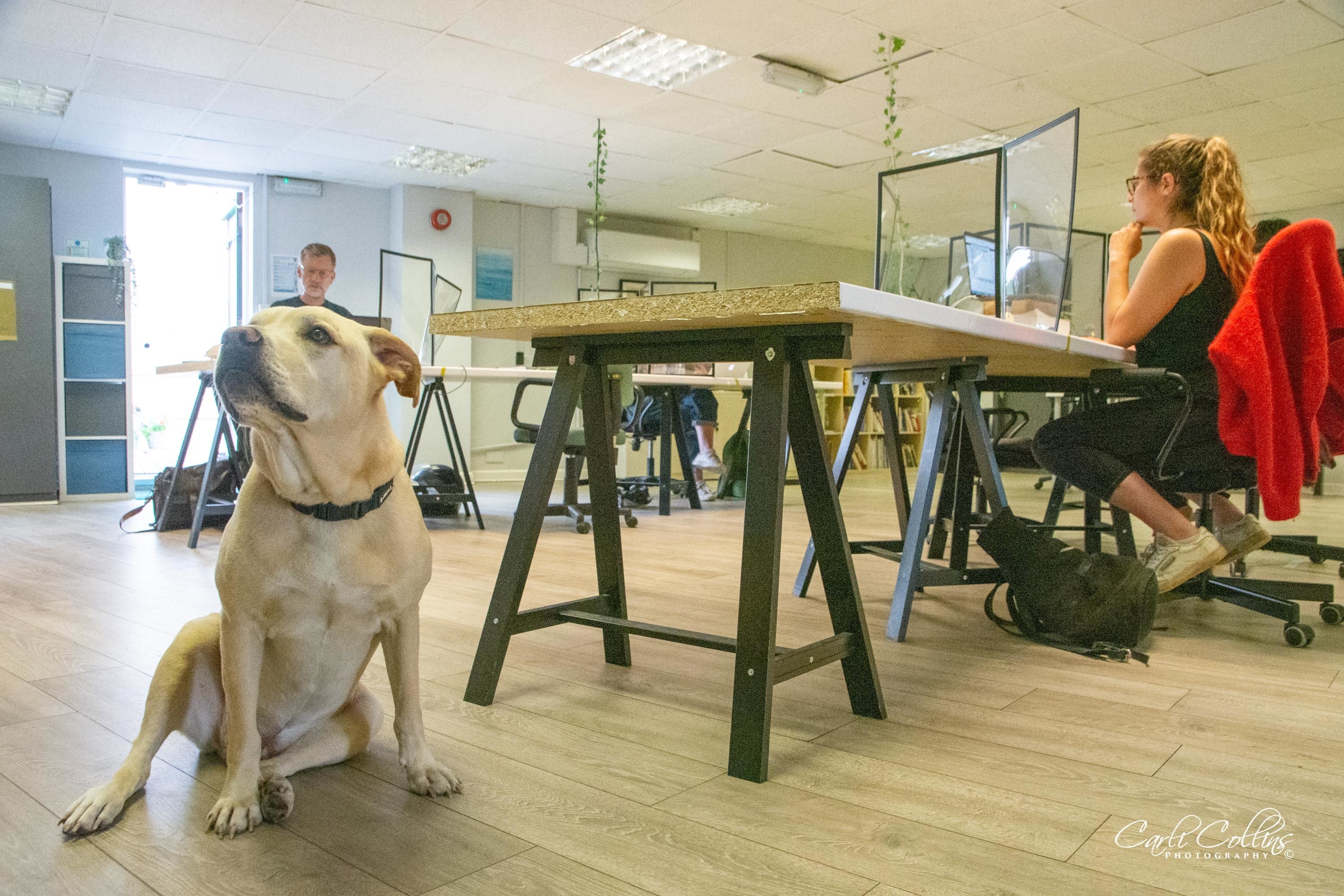 RawSpace- hot desking