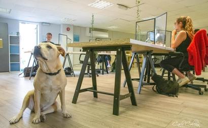 RawSpace- hot desking RawSpace- hot desking