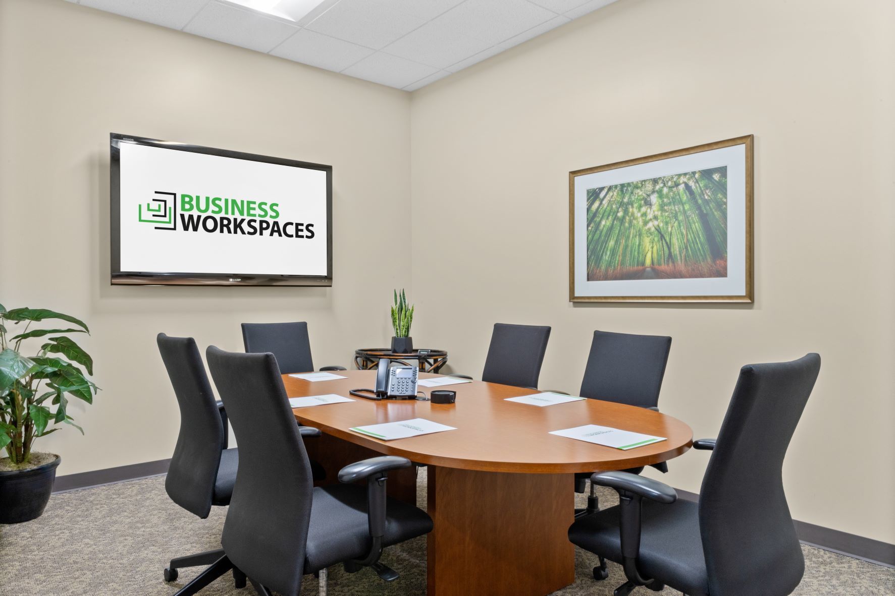 Business Workspaces - Camino Conference Room