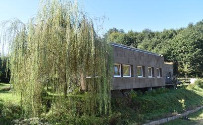 Green Utopia Green Utopia