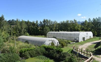 Green Utopia Green Utopia