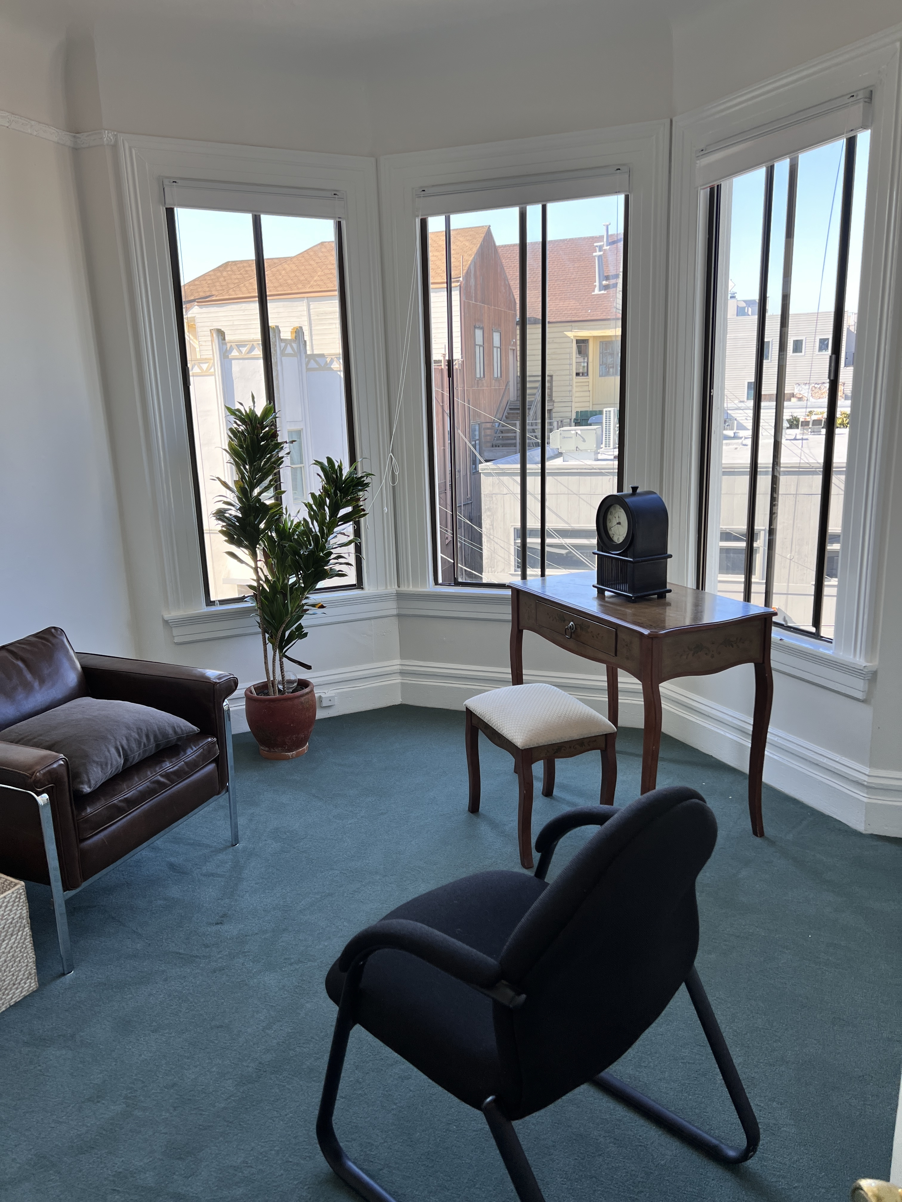 Cow Hollow - Union / Webster Street