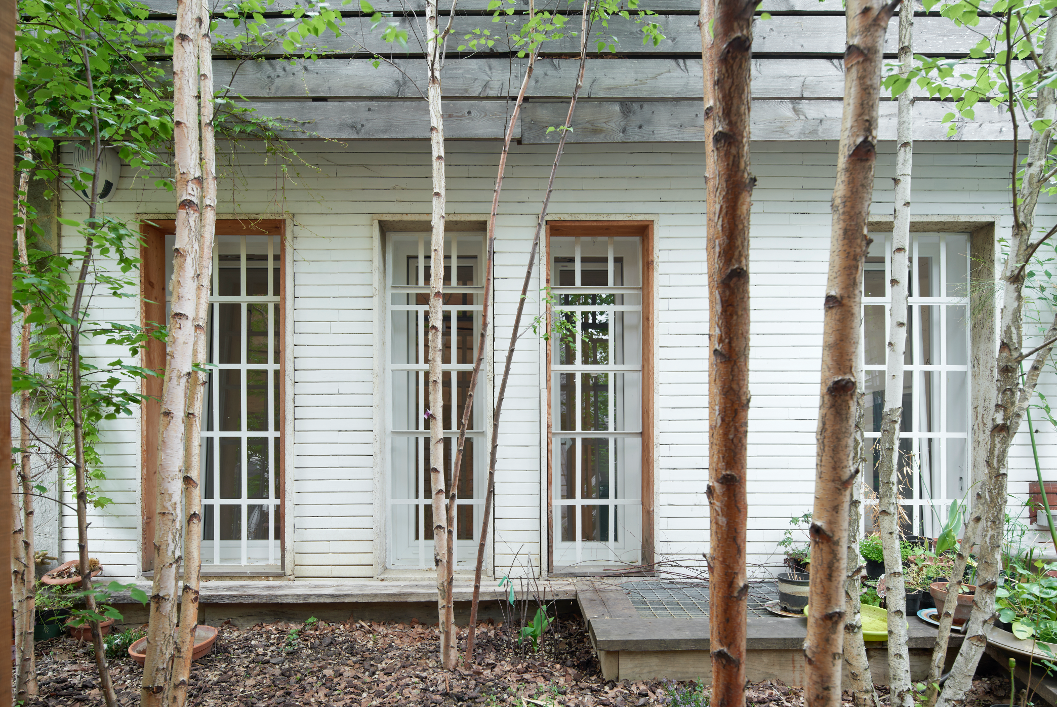 CoWorkshop - lavoro, natura e benessere