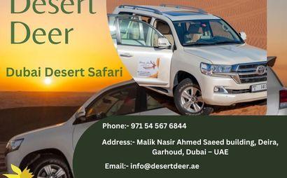 Desertdeer Desertdeer