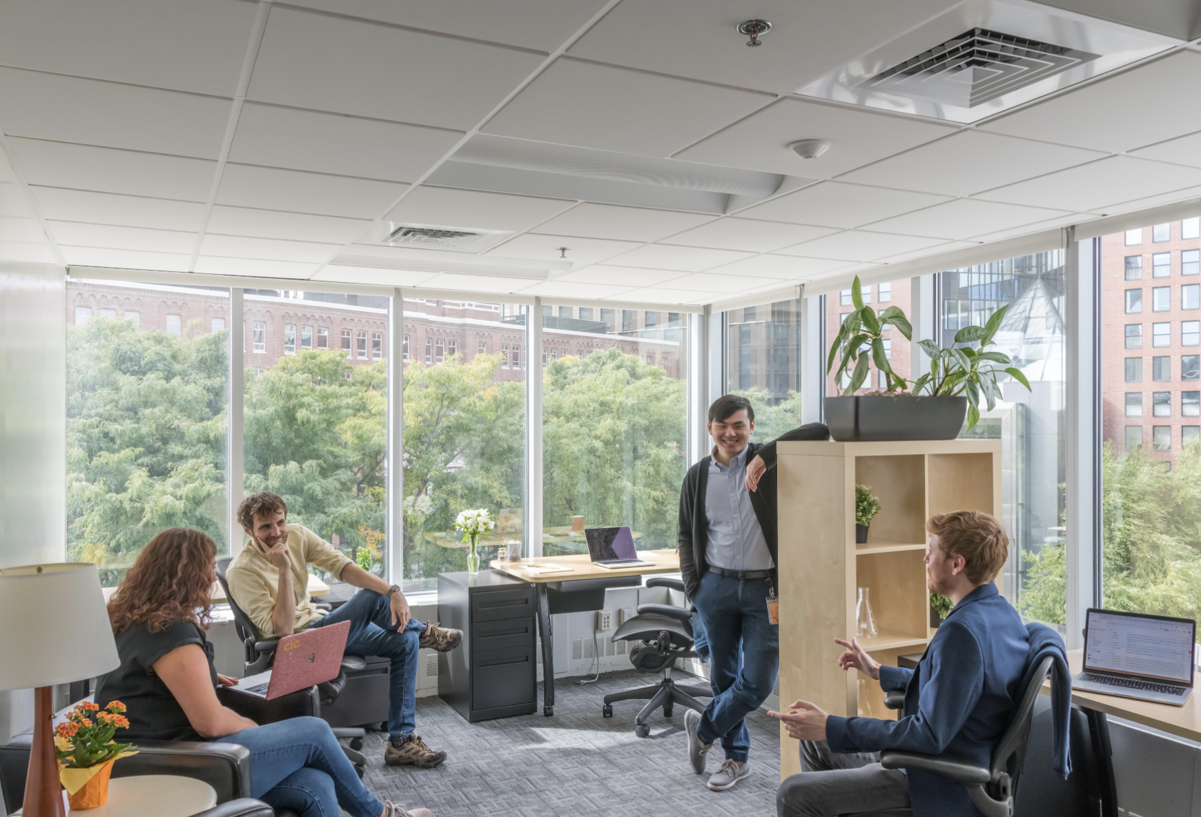 Cornet Window Office for Five