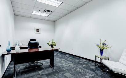 Private Executive Office Suites - A278 (289 SF) Private Executive Office Suites - A278 (289 SF)