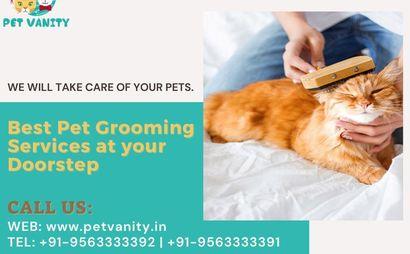 Pet Vanity Pet Vanity
