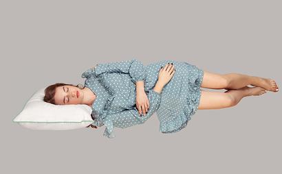 Novilla Net Novilla Net