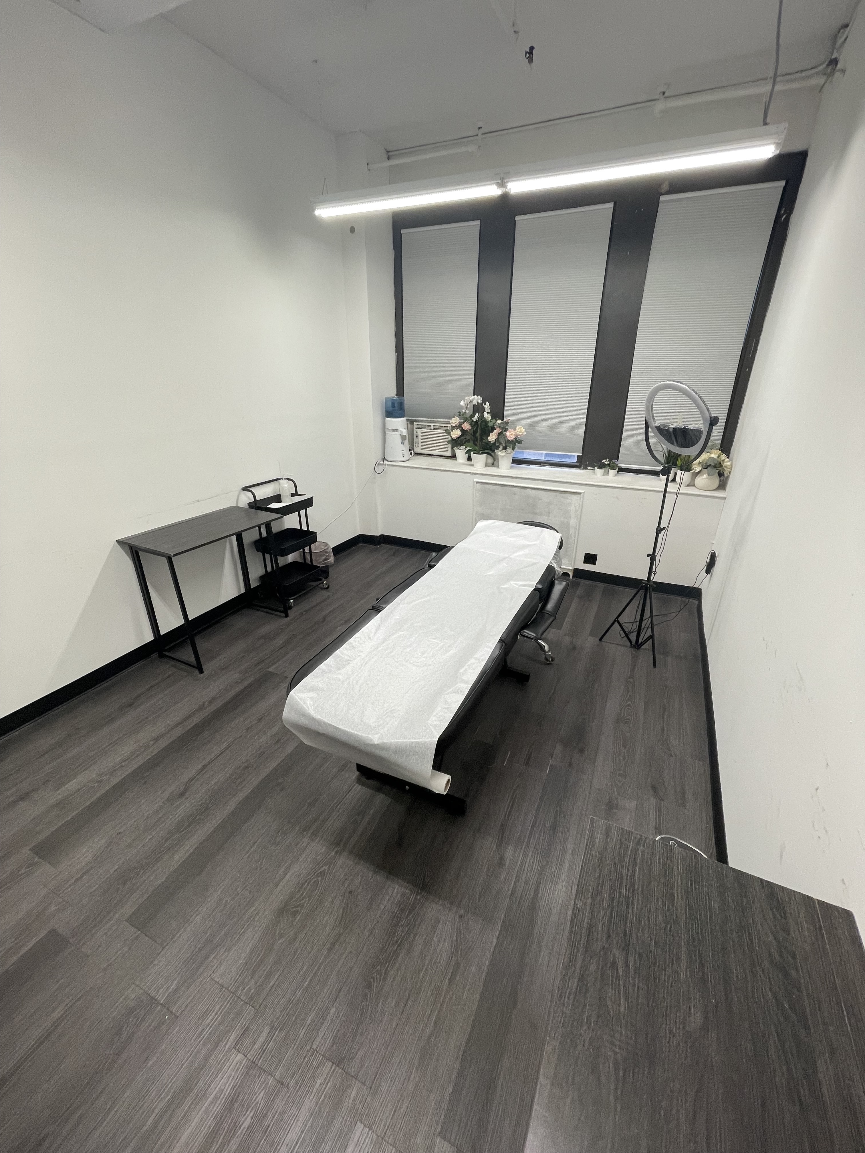 PMU Esthetician Massage Ready to Use Treatment Room PMU Esthetician Massage Ready to Use Treatment Room