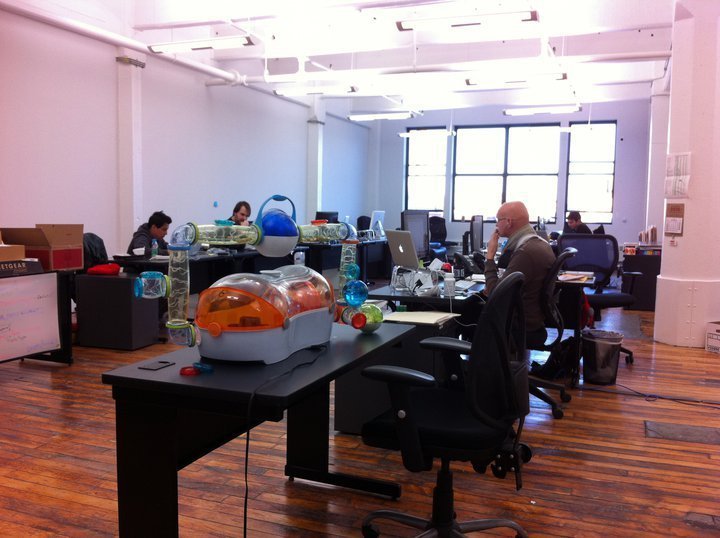 Desks available in a shared DUMBO loft space