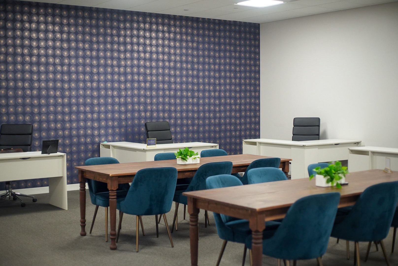  Flex Open Co-working