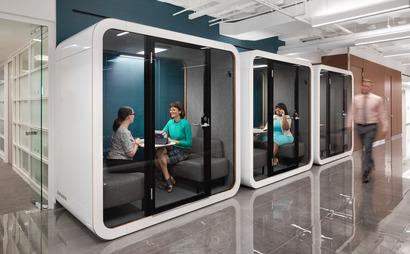 Elevated NY Elevated NY