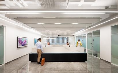 Elevated NY Elevated NY