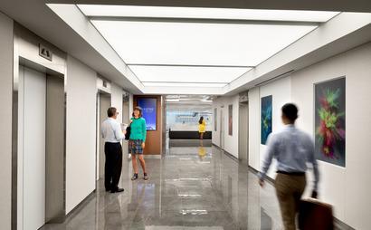 Elevated NY Elevated NY