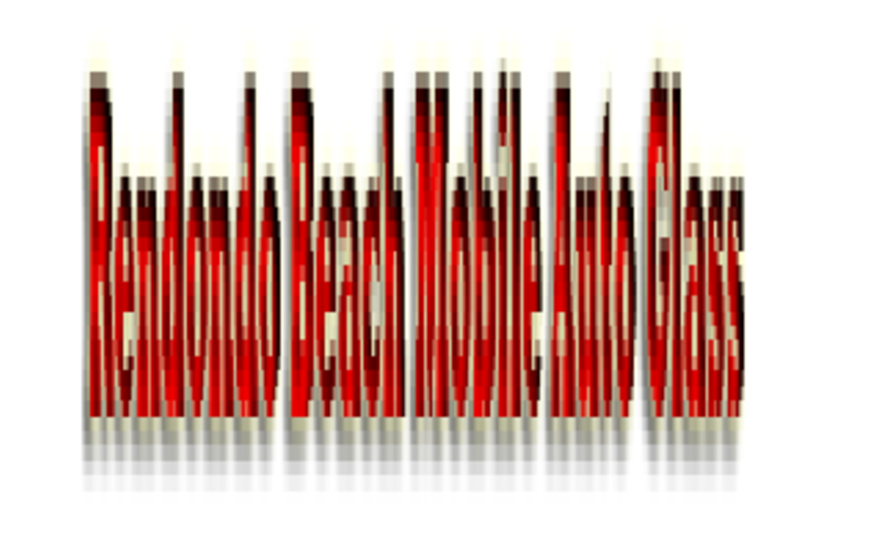 Redondo Beach Mobile Auto Glass