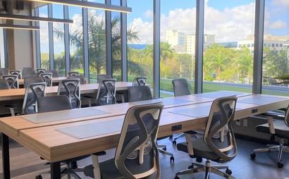 CoWorking Desks CoWorking Desks