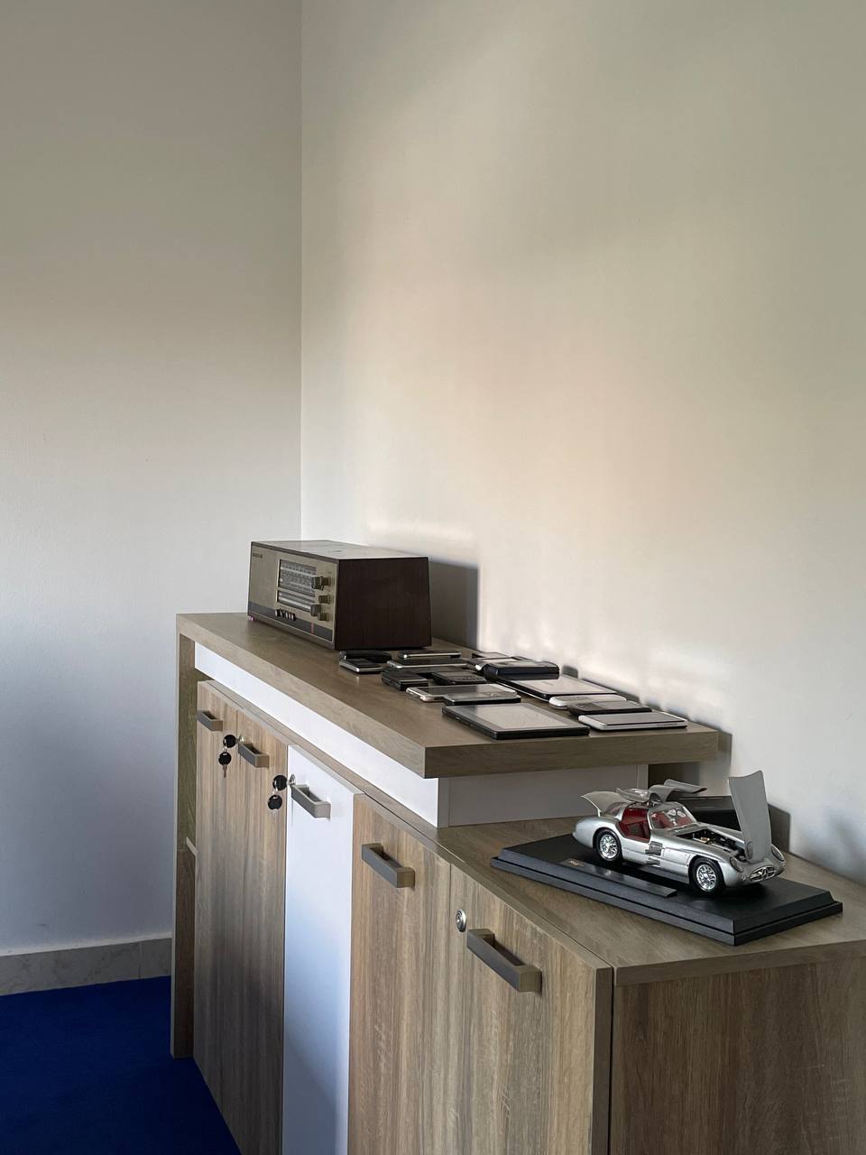 Executive Oasis (VIP Meeting Room)