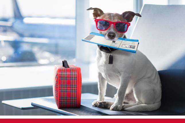 Book Cheap Airlines Tickets with Discounted Deals