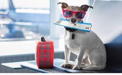 Book Cheap Airlines Tickets with Discounted Deals Book Cheap Airlines Tickets with Discounted Deals