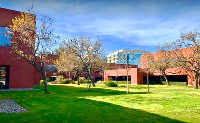 university of san jose