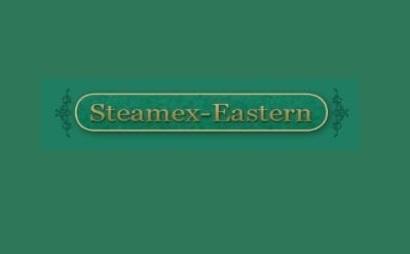 Steamex Eastern of Toledo Steamex Eastern of Toledo