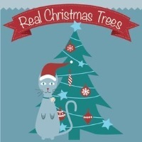 Real Christmas Trees 