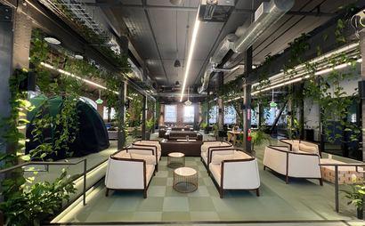 Werqwise - Office Day Pass (SF)  Werqwise - Office Day Pass (SF)