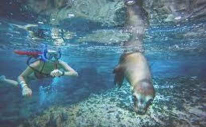 Baja Remote Beaches  Baja Remote Beaches